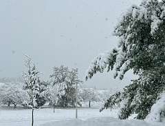 39: CarolAnnManfria_2025-67