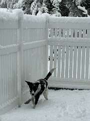 40: CarolAnnManfria_2025-68