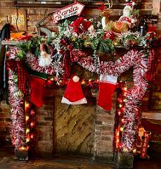 43: CarolAnnManfria_2025-71