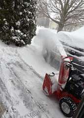 25: CarolAnnManfria_2026-5