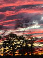 51: CeciliaRomano_2025-14