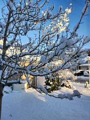 45: CeciliaRomano_2025-8