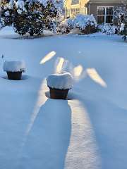 46: CeciliaRomano_2025-9