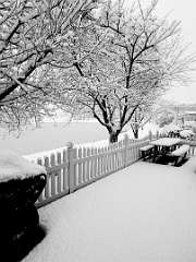 54: DanBrainum_2025-4