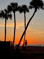 56: DanBrainum_2025-6