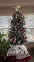 61: DarleneOstewik_2025-27