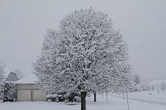 66: DonManfria_2025-304