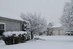 67: DonManfria_2025-305