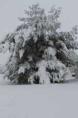 68: DonManfria_2025-306