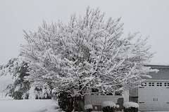 71: DonManfria_2025-309