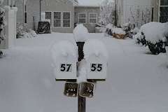 72: DonManfria_2025-310