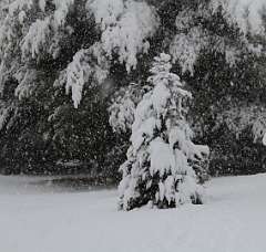 73: DonManfria_2025-311