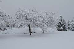 75: DonManfria_2025-313