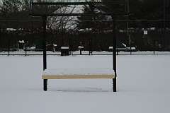 80: DonManfria_2025-318