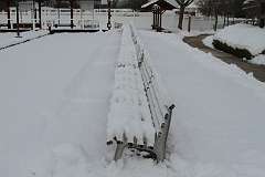 81: DonManfria_2025-319