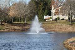 86: DonManfria_2025-324