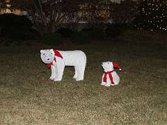 98: DonManfria_2025-336