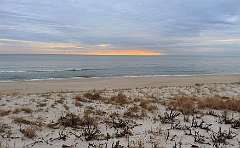 99: DonManfria_2025-337