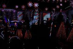 113: DonManfria_2025-351