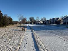 174: DonManfria_2026-1