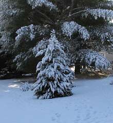 103: DonManfria_2026-8