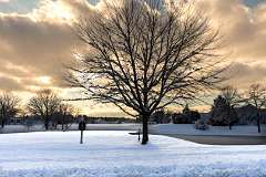 117: ErnieStandard_2025-22