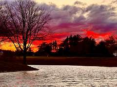 137: KathleenMiddleton_2025-10