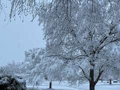 132: KathleenMiddleton_2025-5