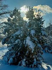 134: KathleenMiddleton_2025-7