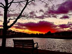 136: KathleenMiddleton_2025-9