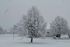 138: MarkShelly_2025-272