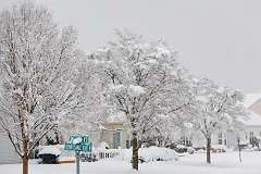 140: MarkShelly_2025-274