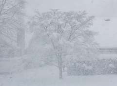 141: MarkShelly_2025-275