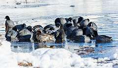 142: MarkShelly_2025-276