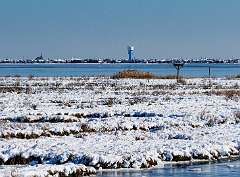 149: MarkShelly_2025-283