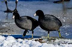 162: MarkShelly_2025-296