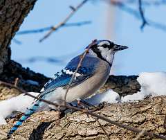 164: MarkShelly_2025-298