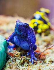 219: MarkShelly_2026-13