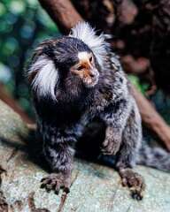 21: MarkShelly_2026-14