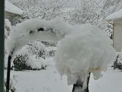 167: MikeGlass_2025-58