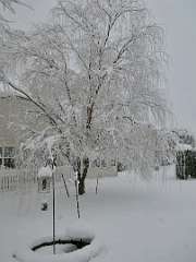 168: MikeGlass_2025-59