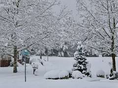 176: MikeGlass_2025-67