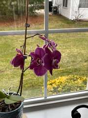 191: TomGeorgio_2025-11