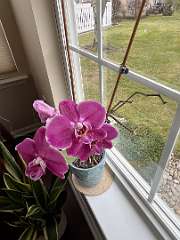 192: TomGeorgio_2025-12