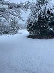 195: TomGeorgio_2025-15