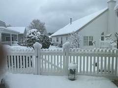 196: TomGeorgio_2025-16