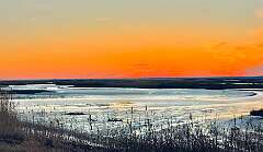 195: WendyTao_2026-13