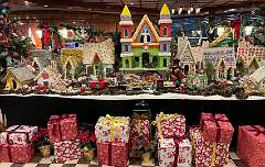 230: Xue-MingBao_2025-73