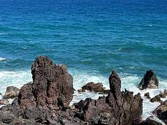 238: Xue-MingBao_2025-81