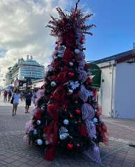 242: Xue-MingBao_2025-85